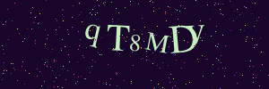 Validation image